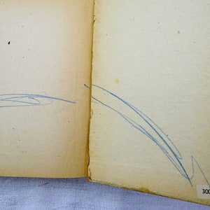 Pode incluir: Um livro aberto com textura de papel amarelado e envelhecido. As p&aacute;ginas t&ecirc;m marcas de l&aacute;pis azul. O canto inferior direito do livro tem uma etiqueta de pre&ccedil;o que diz "300 Fr."