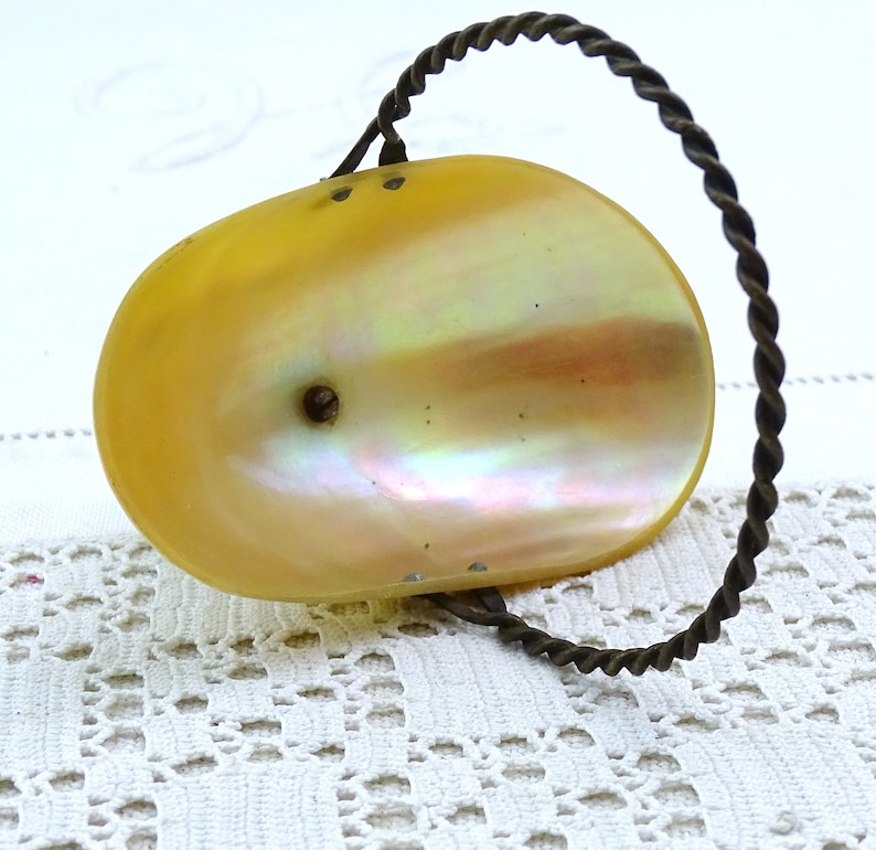 May include: A small, oval-shaped, iridescent shell with a brass wire handle. The shell is a pale yellow colour with a pearlescent sheen.