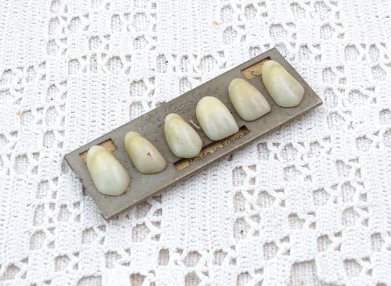 Antique Card Of Porcelain Teeth Anatomical Diatorics Atlantic, 6 Artificial Tooth for Dentist, Curio Apothecary Display