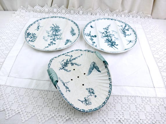 Antique French Ironstone Asparagus Serving Dish and 2 Plates from the Range Carmen by Sarreguemines with Dragon Fly Pattern, Retro Ironware
