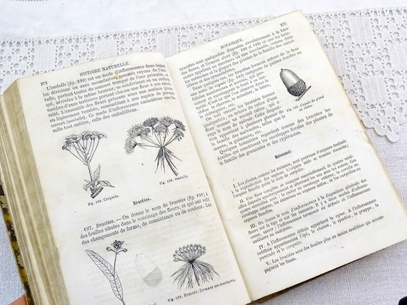 French Antique School Science Hard Back Book Printed in 1868 Manuel d'Histoire Naturelle by  J Langlebert  Multiple Illustrations 420 Pages