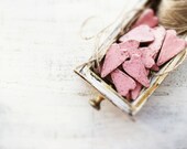 5 colors rustic wedding favors hearts magnets cottage chic guest favors shabby chic bridal shower pale pink white brown puce mauve