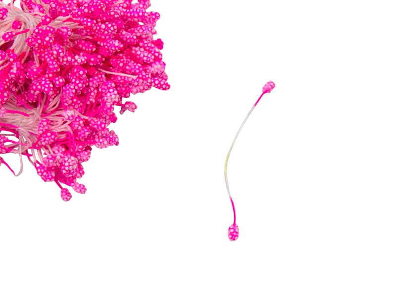 300 Pieces Flower Stamens Double Buds Artificial Flower Crafts Decor White