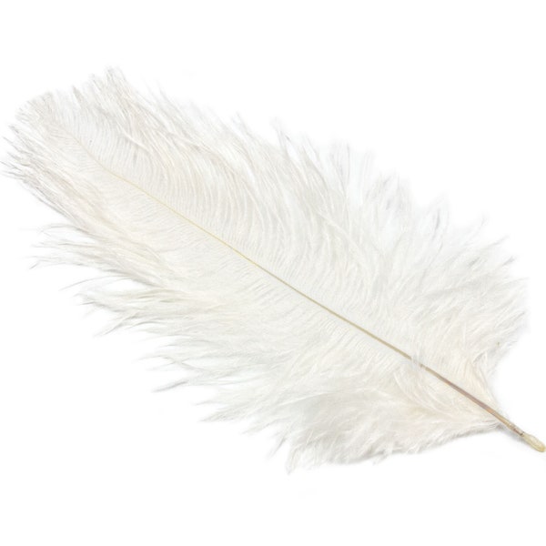 Ostrich Feather Plumes 5-6" Long - Sold by the Piece - White