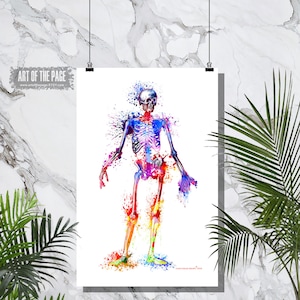 Human Anatomy, &quot;Watercolor Skeleton&quot;, 11&quot; x 17&quot;, Anatomy Medical print, Nurse Graduation gift, Medical Student gift,Doctors Waiting Room art
