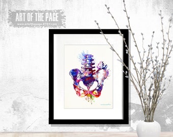 Anatomy Print, "Watercolor Hips",  8.5" x 11", Osteopathic Nurse Practitioner gift, Chiropractor art, Orthopedic Surgeon, Pelvis art