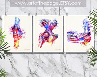 Anatomy print, "Orthopedic Set- Knee, Hip, Elbow", (3) 11" x 14" Prints 15% Discount, Nurse gift, Chiropractor gift, Orthopedic Surgeon gift
