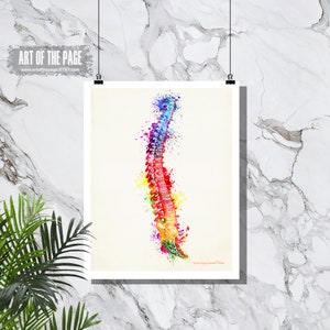 Human Anatomy, "Watercolor Spine", 11" x 14", Registered Nurse Gift, Nurse Graduation gift, Watercolor Splatter art, Anatomy Spine art