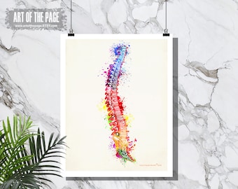 Human Anatomy, "Watercolor Spine", 11" x 14", Registered Nurse Gift, Nurse Graduation gift, Watercolor Splatter art, Anatomy Spine art