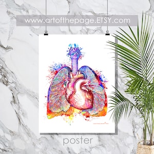 Anatomy print, &quot;Heart and Lungs print - Watercolor&quot;, Anatomy Art, Medical Decor, Doctors Office decor, Nurse Gift, Pulmonologist Gift