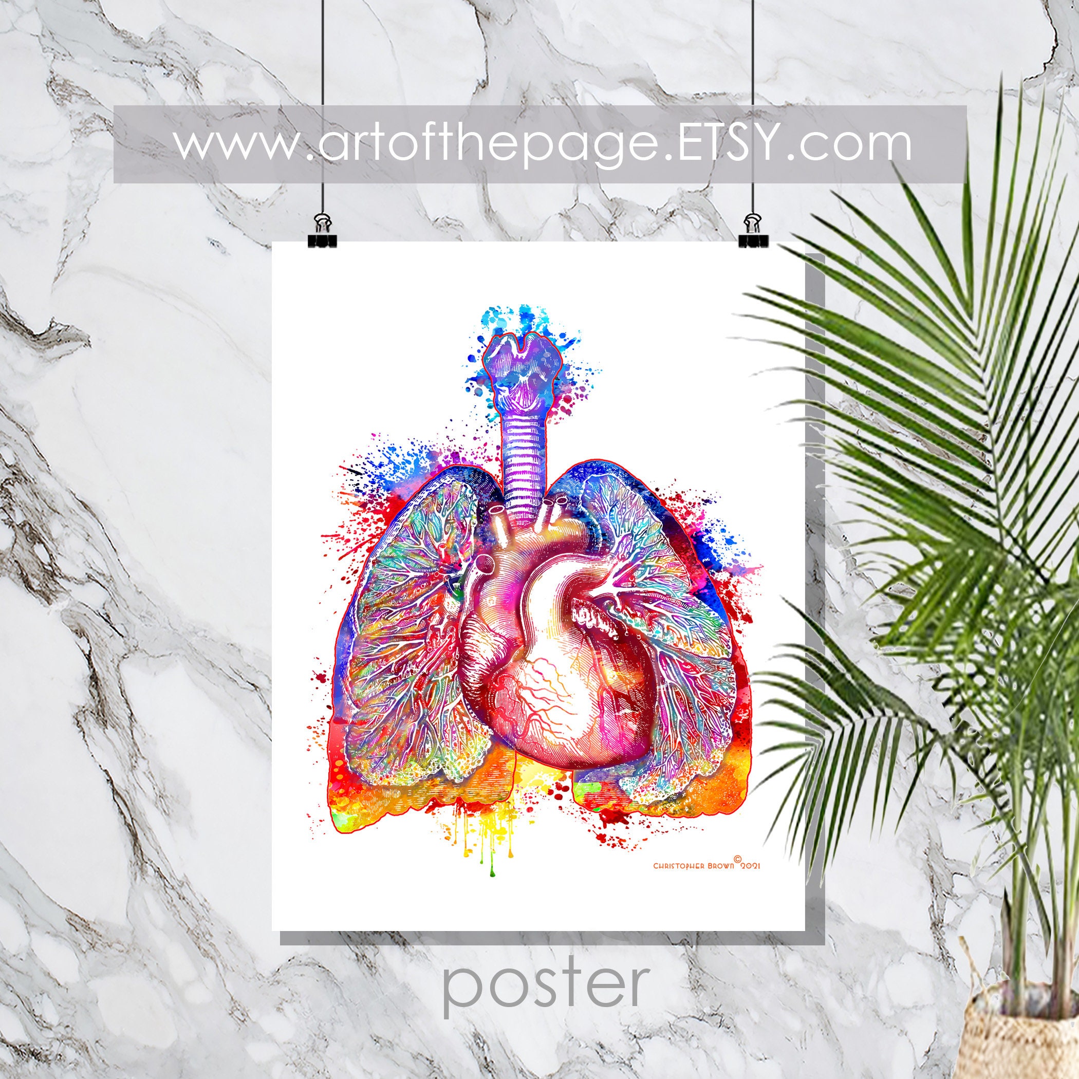 Watercolor Heart and Lungs Anatomy Print: Medical Art - Etsy