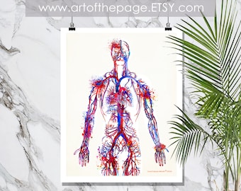 Watercolor Vascular System Anatomy Print: Circulatory System Art