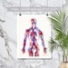 see more listings in the Anatomy section