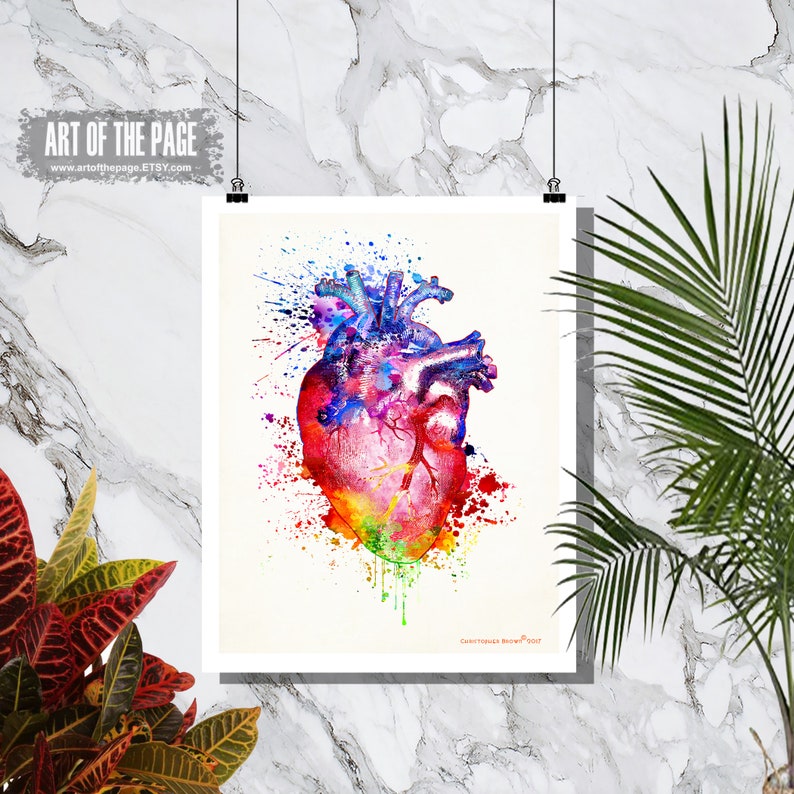 Anatomy Medical print, Watercolor Heart, 11 x 14,Registered Nurse Gift,Nurse Graduation gift, Watercolor Splatter art, Anatomy Heart Art image 1