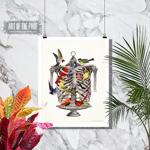 Anatomy Medical print, &quot;Birds in the RibCage&quot;, Fine Art Print, 11&quot; x 14&quot;, Nurse Graduation gift, Medical Student gift, Skeleton print, Birds