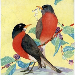 May include: A vintage illustration of two American robins perched on a branch with berries. The birds have red breasts, black heads, and gray wings. The background is yellow with a light, airy design.