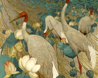 Vintage Red-Billed Cranes Illustration:Gorgeous Bird Art (Digital Download)