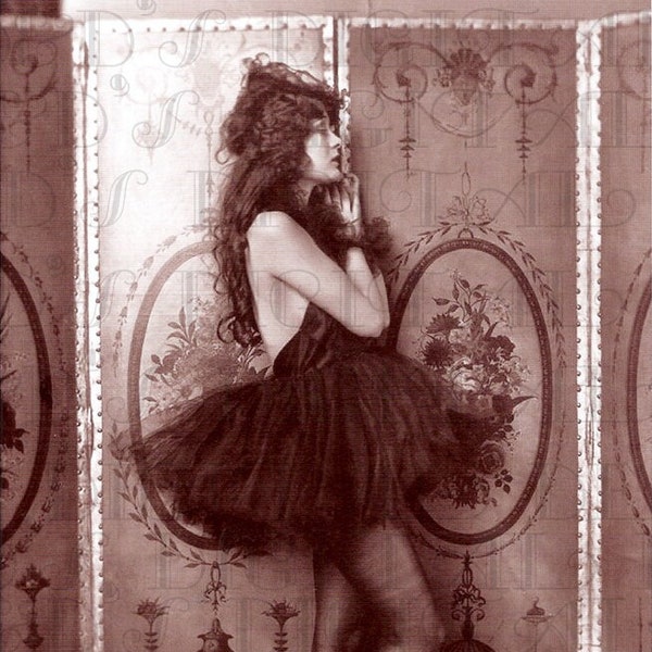 Fabulous Theatrical Showgirl In Tights and Net Skirt. Vintage Digital 1920s Photo. Vintage Digital Art Deco Download. Follies, Cabaret.