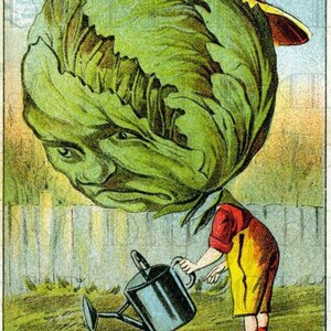 KOOLKOP Tuinman! Rare ongebruikelijke antieke advertentiekaartillustratie. Digitale vintage download. Ongewone digitale vintage print.