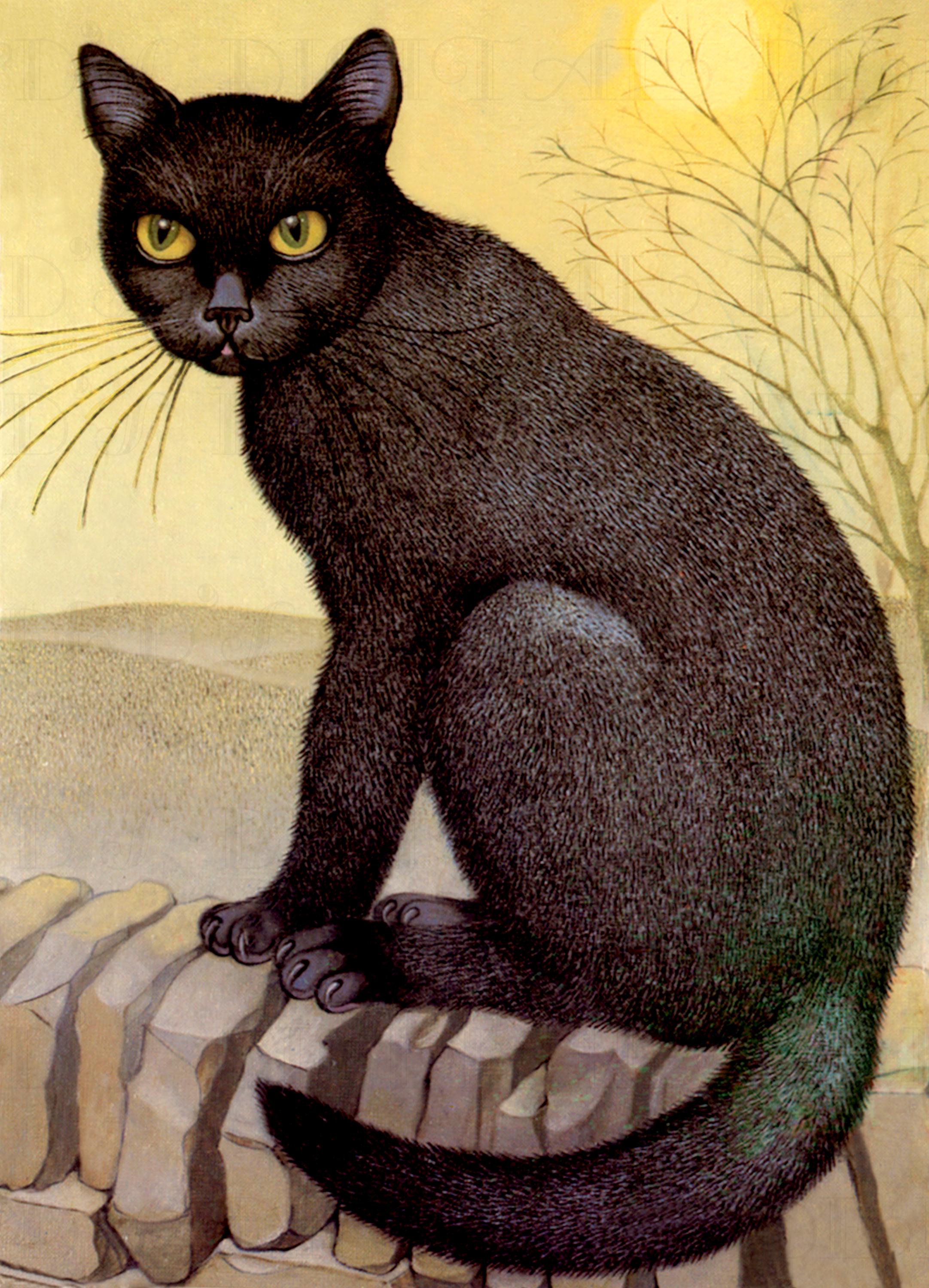 Vintage Halloween Black Cat Illustration: Spooky Digital Download