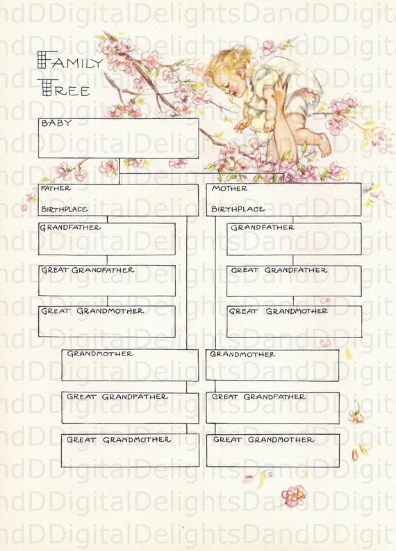 Gorgeous Baby's Family Tree Color Illustration and Text from a Vintage Baby  Record Book. Digital ILLUSTRATION Download.
