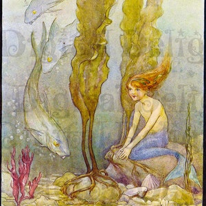 Sweet Child Little Mermaid Among The Fishes. Fairy Tale Vintage DIGITAL Illustration. Digital Download.