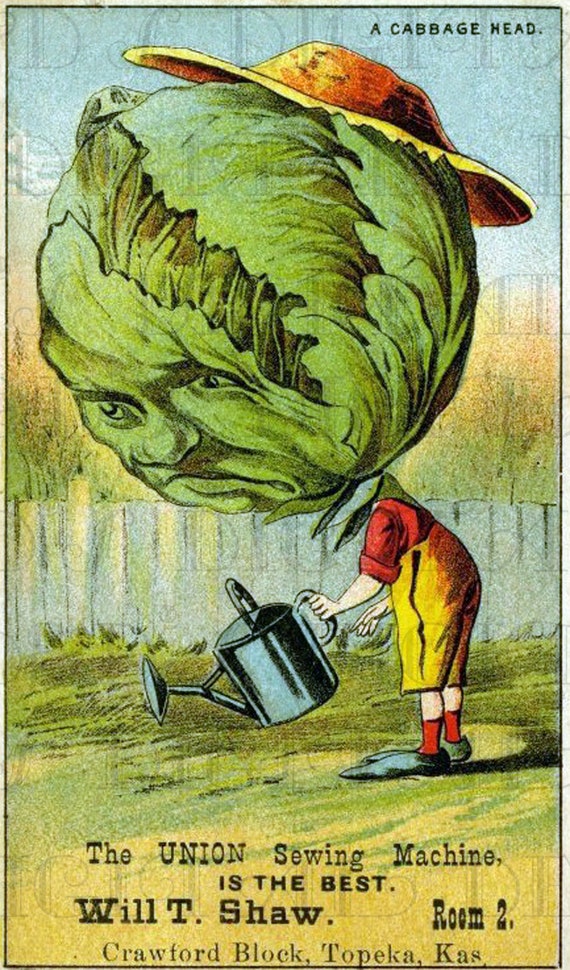 CABBAGE HEAD Gardener Weird Offbeat Antique Ad Card Etsy