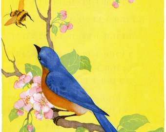 Vintage Bluebird Illustration: 1920s Printable Bird Art (Digital Download)