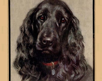 Vintage Dog Illustration: "Dog Tales" Book Cover Art (Digital Download)