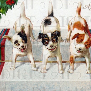 3 kleine Hündchen wünschen Ihnen ein fröhliches WEIHNACHTEN. Digitale VINTAGE Illustration. Digitaler WeihnachtsHUND Download. Digitaler Vintage Weihnachtsdruck.