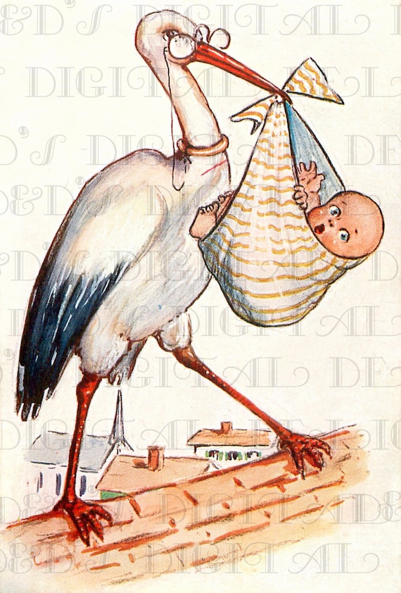 STORK and Baby in Blanket Vintage BABY Illustration. Digital - Etsy