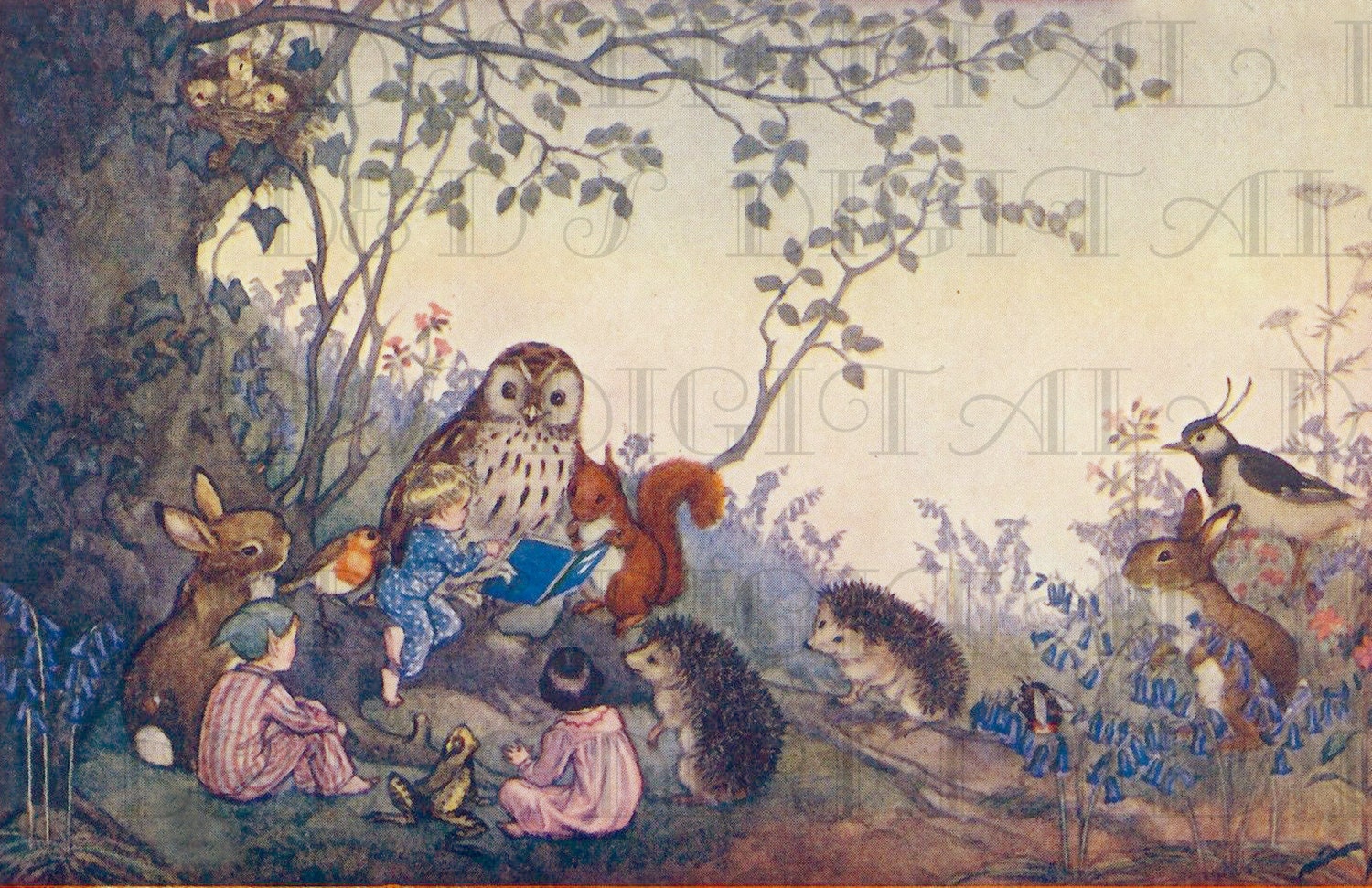 Woodland Animals READ To Elves & Children. Vintage Storybook Etsy