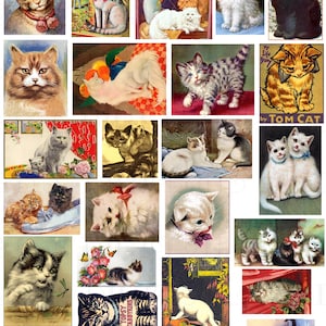 Kitty Cats! Vintage Cat Clip Art! Digital Cat Download. Vintage Cat Illustration. Printable Cat Images.