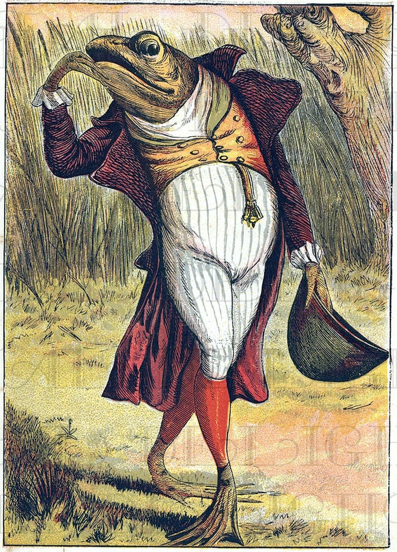 Weird Wacky Well Dressed Frog. VINTAGE Illustration. Vintage Etsy