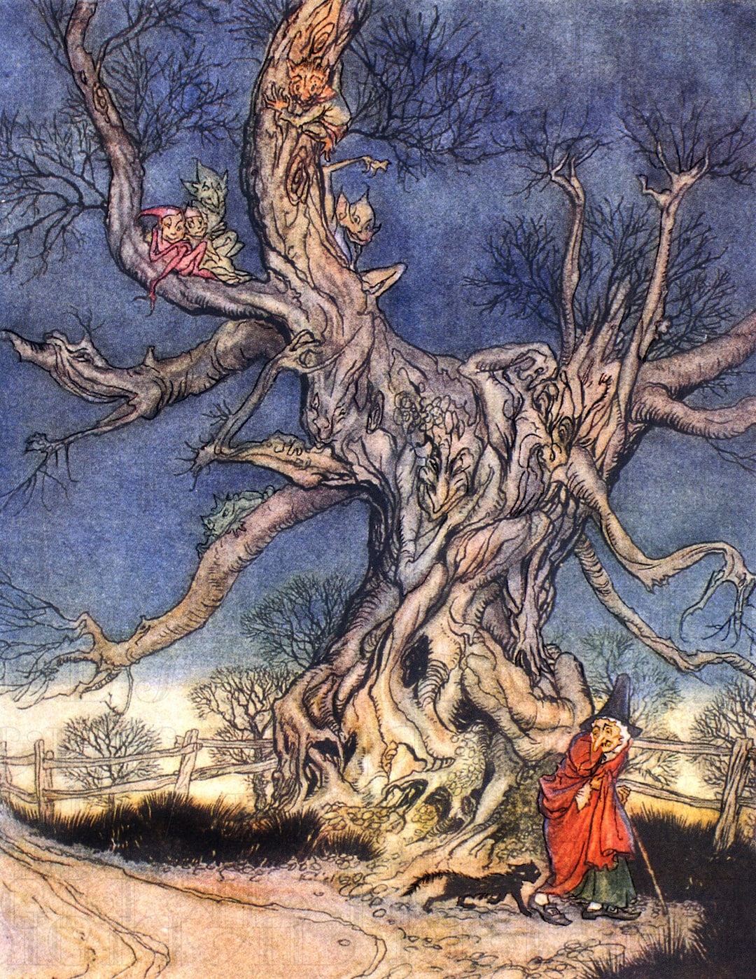 Arthur Rackham Witch, Elves, CREEPY Trees Vintage Illustration (digital ...