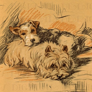Tired Pals!! Scotty Dog and Terrier Vintage Dog Illustration. Vintage Digital Dog Download. Digital Scotty Dog. Vintage Terrier Download.