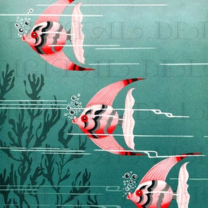 3 Pretty Perky Pink FISH! Vintage Mid-Century Illustration. Vintage DIGITAL Retro Digital illustration Download. Digital Fish Print