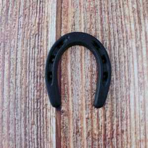 May include: A black horseshoe charm, a traditional symbol of good luck, is shown against a woodgrain background.