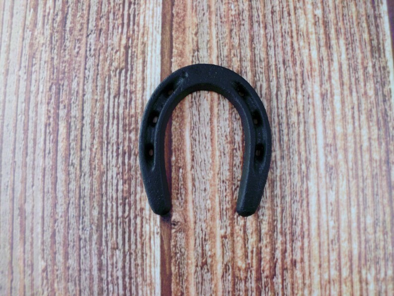 May include: A black horseshoe charm, a traditional symbol of good luck, is shown against a woodgrain background.