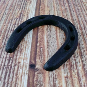 May include: A black metal horseshoe with four nail holes. The horseshoe is on a wooden surface.