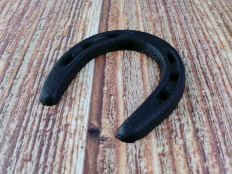 May include: A black metal horseshoe with four nail holes. The horseshoe is on a wooden surface.