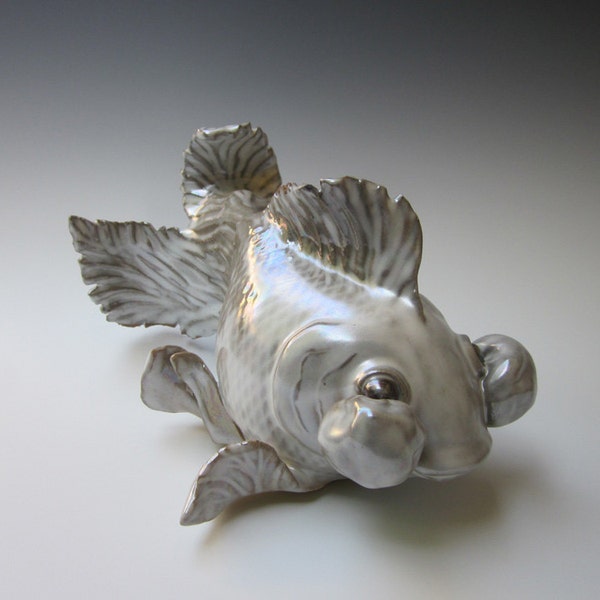 Bubble Eye Goldfish, White Bubble Eye Goldfish, Unique Creature