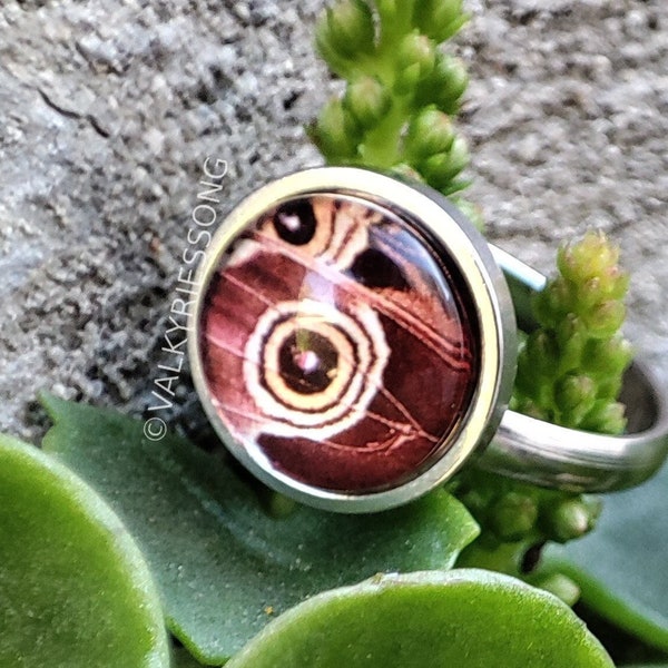 Atlas moth ring, butterfly wing ring, glass photo ring stainless steel adjustable band, cottagecore ring cottagecore gift, nature fairy ring