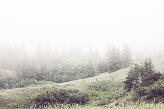 Misty Forest Landscape Photography Hillside Forest Rural Etsy