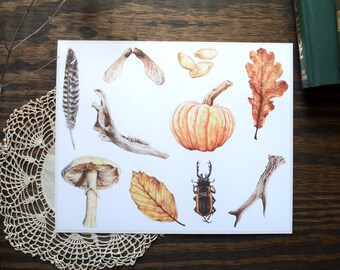 Fall Foraging Fine Art Print, 8 x 10 Colored Pencil Drawing