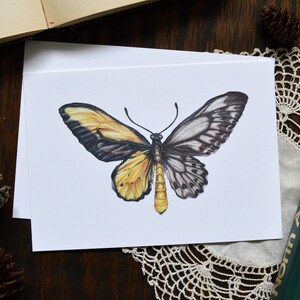 May include: A greeting card featuring a detailed illustration of a butterfly. The butterfly's wings are split, with one side in shades of yellow and black, and the other in black and white. The card is on a white background.