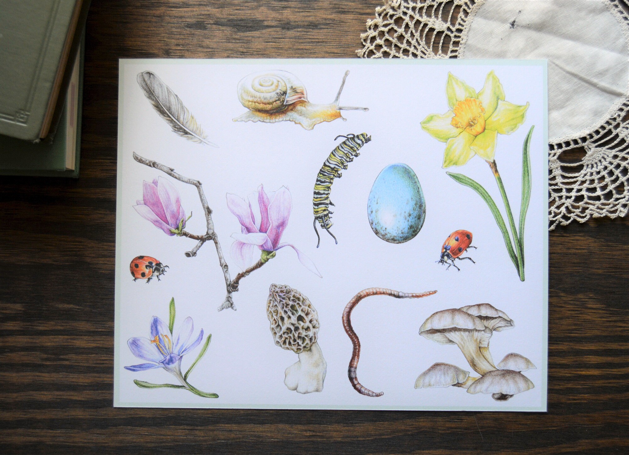 Forarger Drawing Spring Forager Fine Art Print, 8 X 10 Colored Pencil Drawing - Etsy