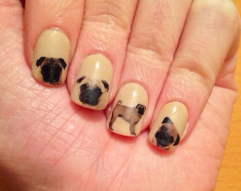 Pug Nail Decals