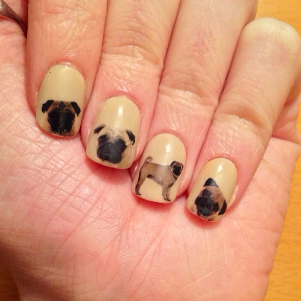 Pug Nail Decals