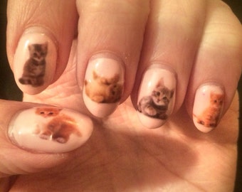 Op de afbeelding: Close-up van een hand met vijf vingernagels die zijn beschilderd met verschillende afbeeldingen van kittens. Elke nagel heeft een ander kittenontwerp.